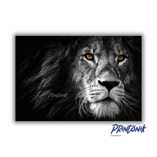Retablo León en Blanco y Negro con Ojos Ámbar